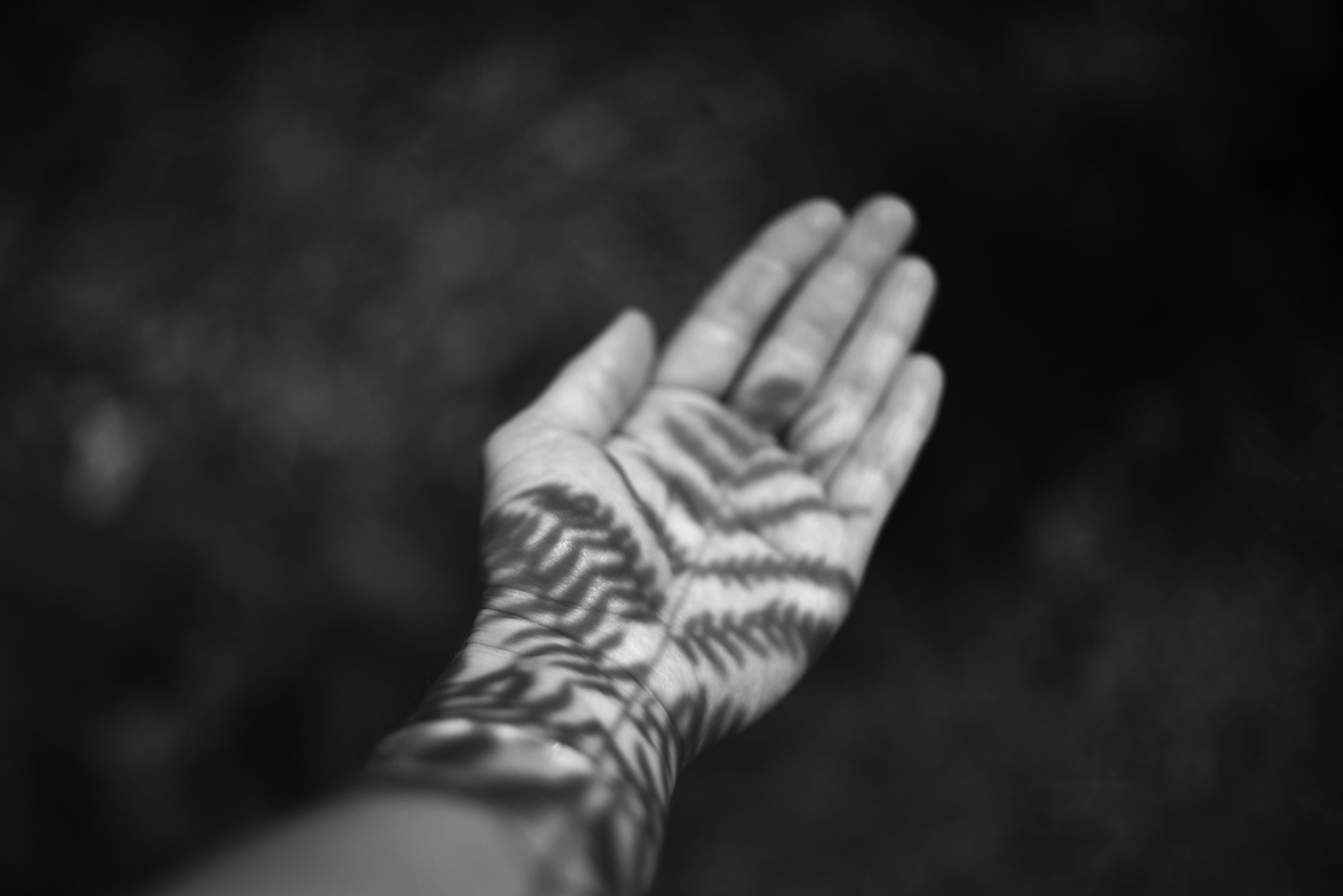 When Have You Experienced Peace? February 2